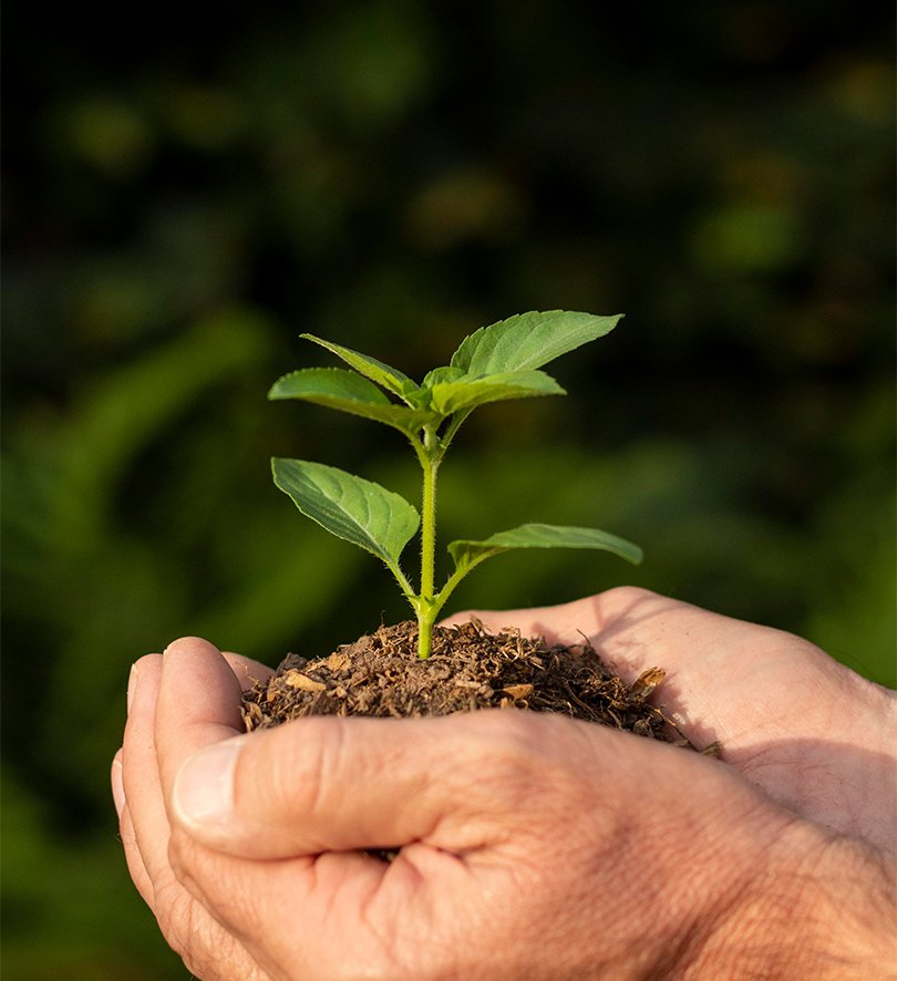 VABILIDAD AMBIENTAL